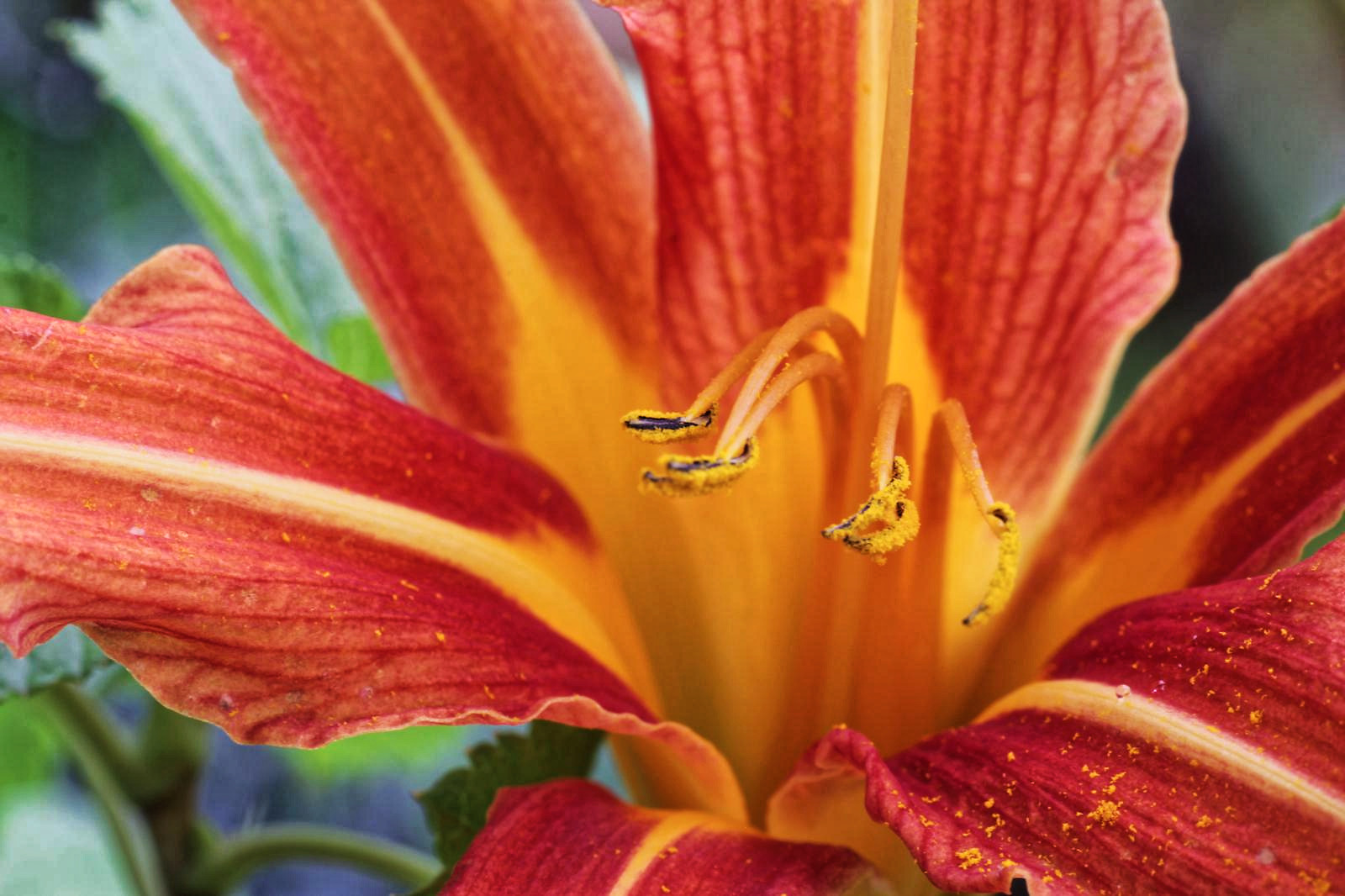 ALCO-EDV Alfred Gerleigner