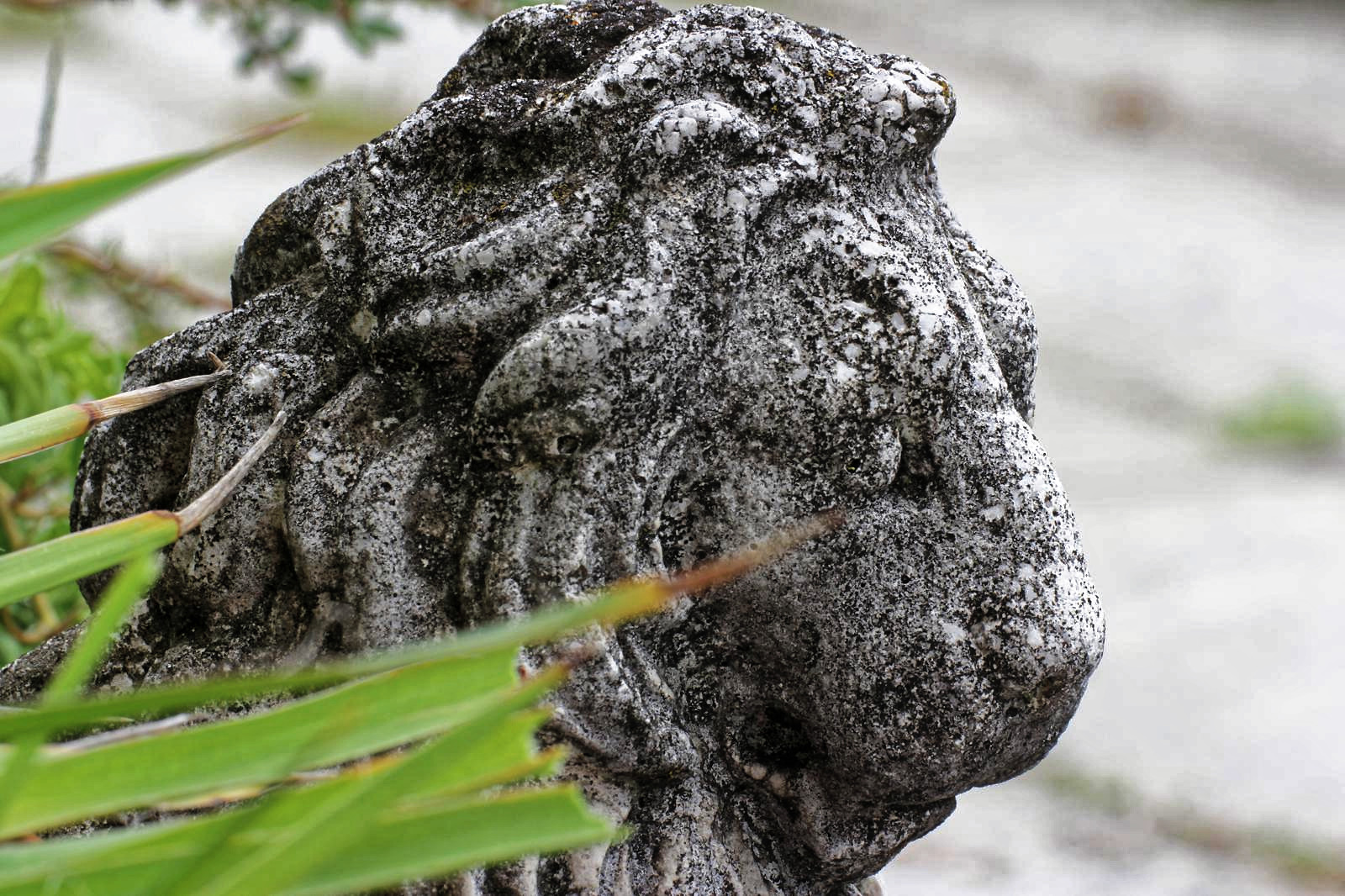 ALCO-EDV Alfred Gerleigner