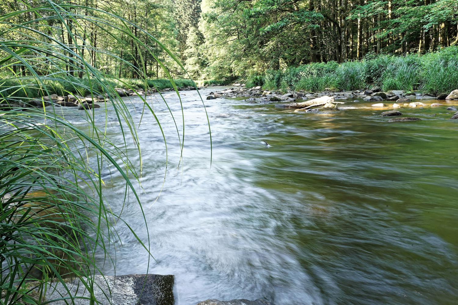 <i>ALCO-EDV</i><i>Alfred Gerleigner</i>