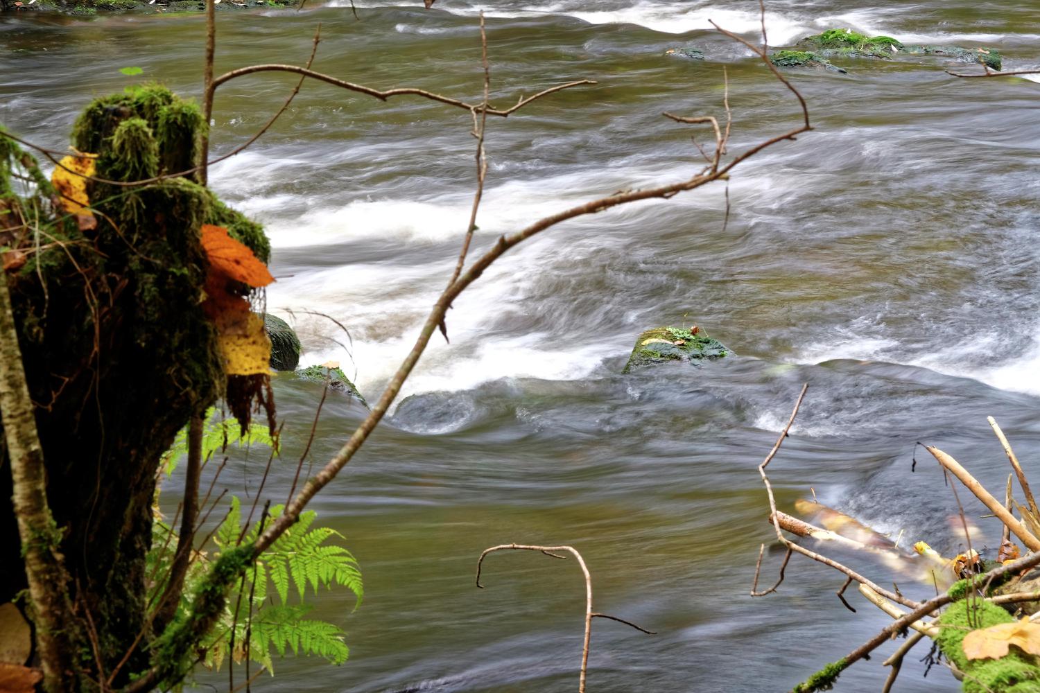 <i>ALCO-EDV</i><i>Alfred Gerleigner</i>