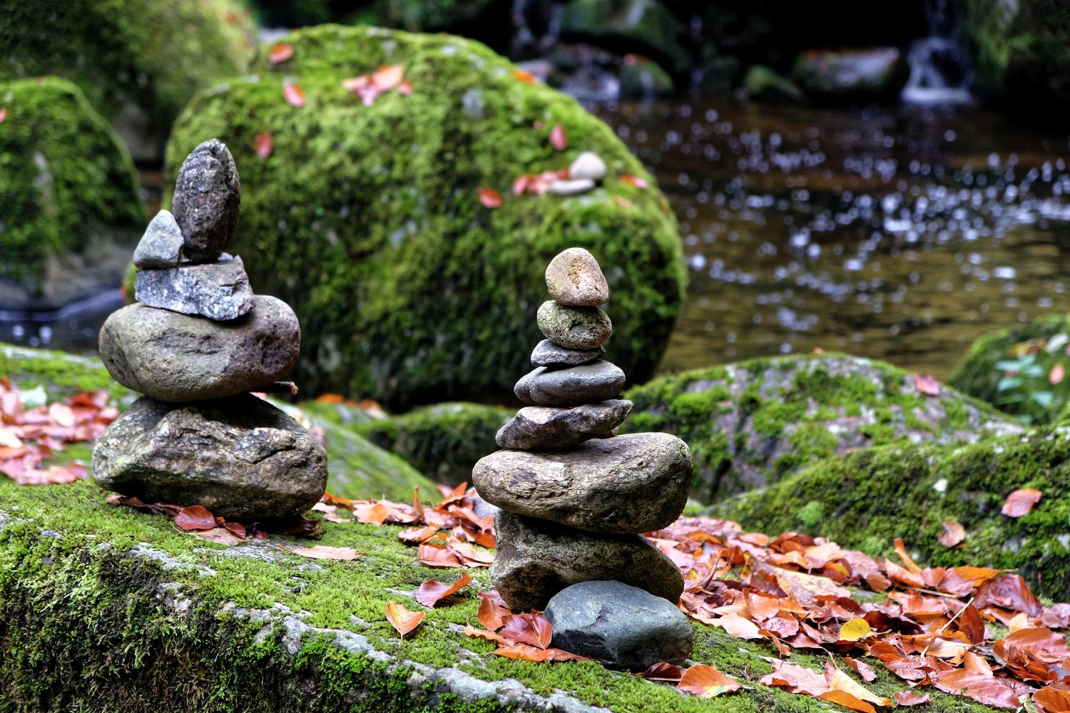 <i>ALCO-EDV</i><i>Alfred Gerleigner</i>